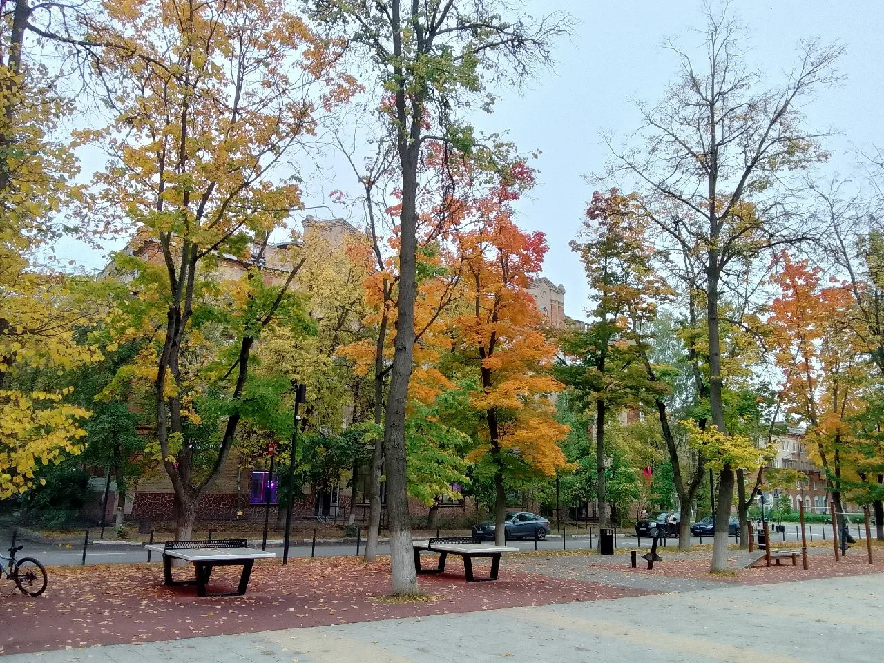 Золотая осень 🍂🍁в нашем авиаграде