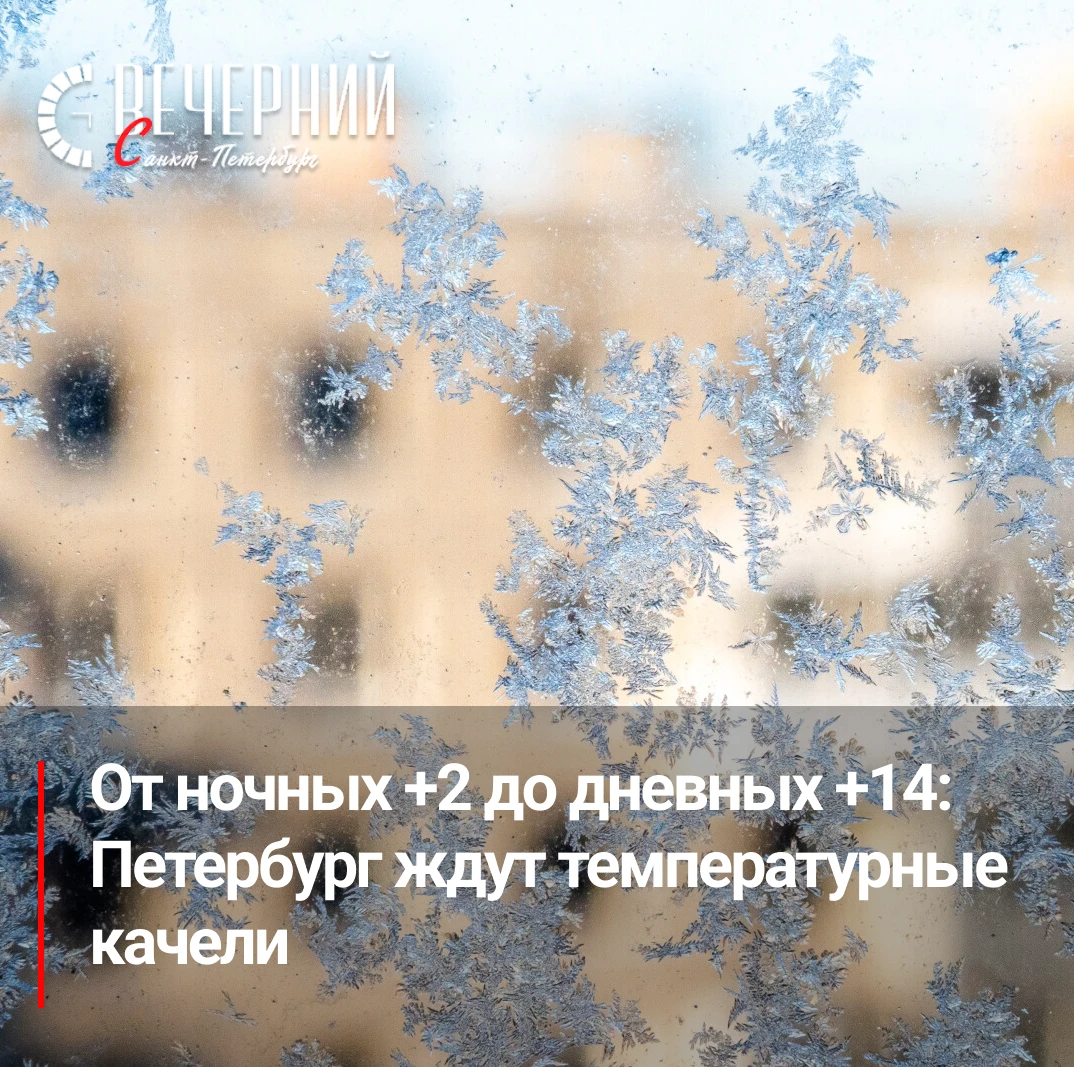 🥶 Петербург ждёт холодная ночь, но осень ещё подарит немного тепла
