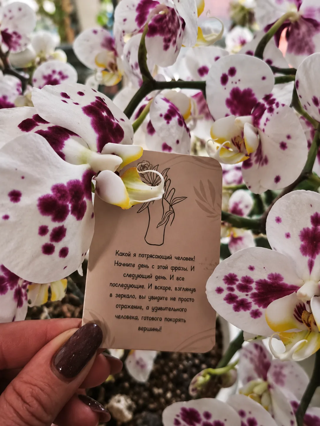 🌸🔮 ПОДСКАЗКА УТРА И НАШИ ПЛАНЫ НА ЧЕТВЕРГ! ❤️