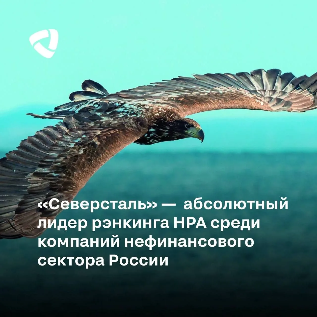 «Северсталь» признана абсолютным лидером рэнкинга НРА среди компаний нефинансового сект...