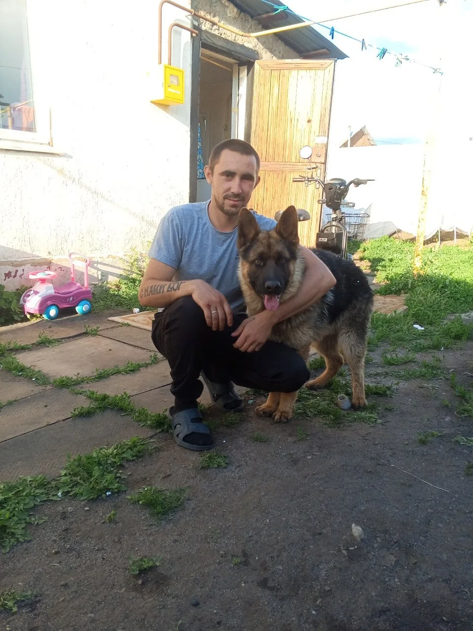 Потерялся пёс Мухтар на улице Мартынова.