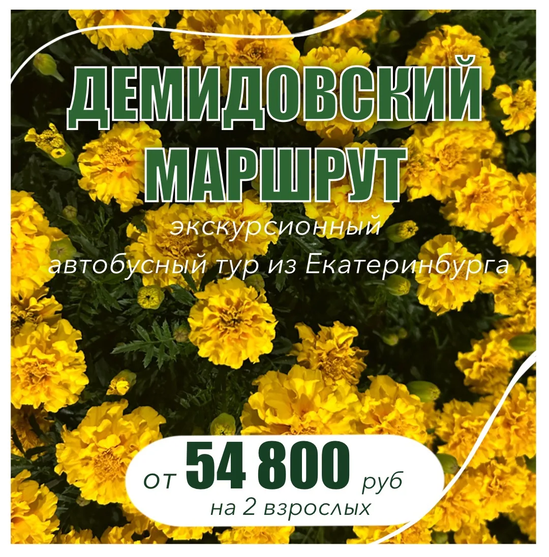 🩵"Демидовский маршрут"🩵