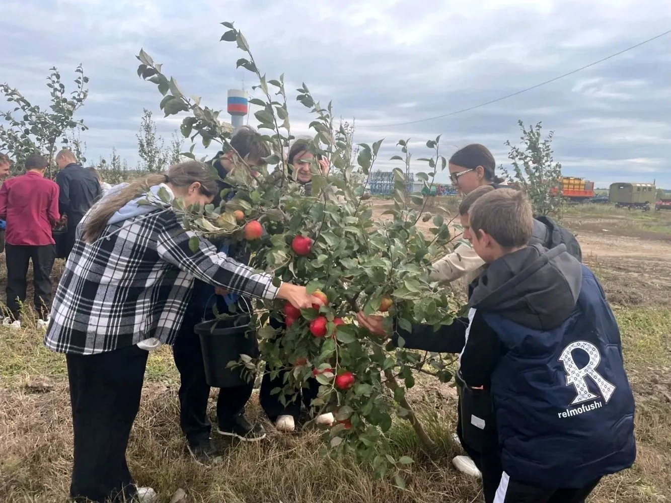 Ученики старших классов Солдатской школы побывали в фермерском хозяйстве, принадлежащем...