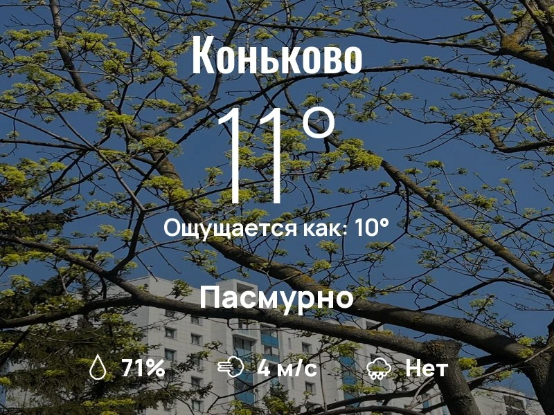 Что с погодой в Коньково?
