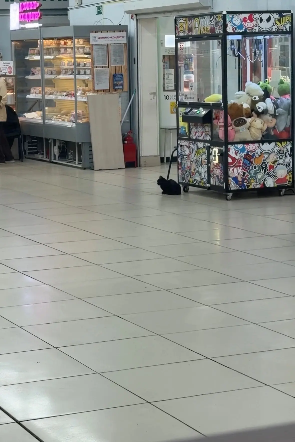 В поляне окатилась кошка,ее держат до понедельника,потом выставят на улицу