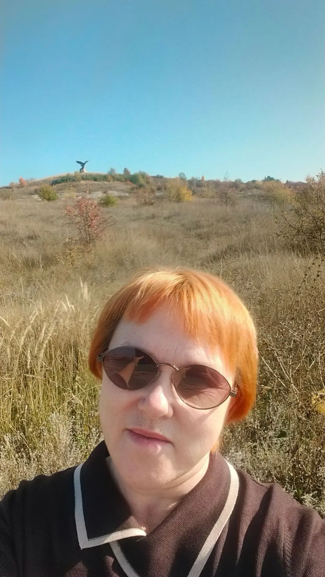 Парит орёл степной над нами. Наша гордость, наша достопримечательность. На подъезде к с...