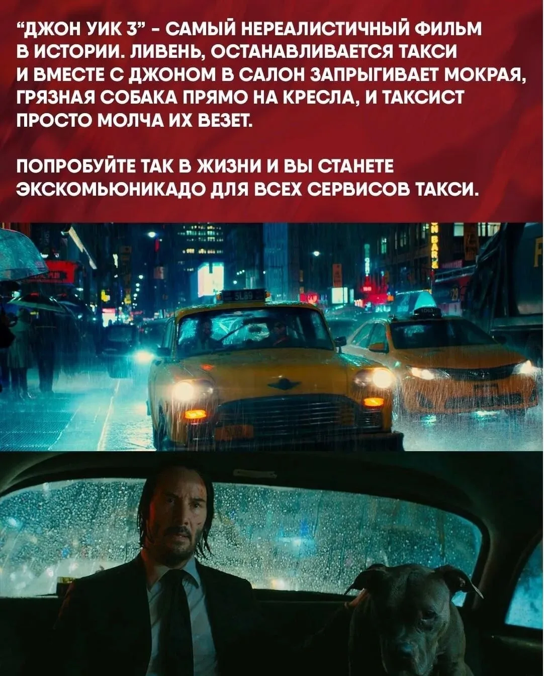 Даже если Джок Уик затащит в такси Годзиллу, водителю надлежит покормить её и везти, ку...