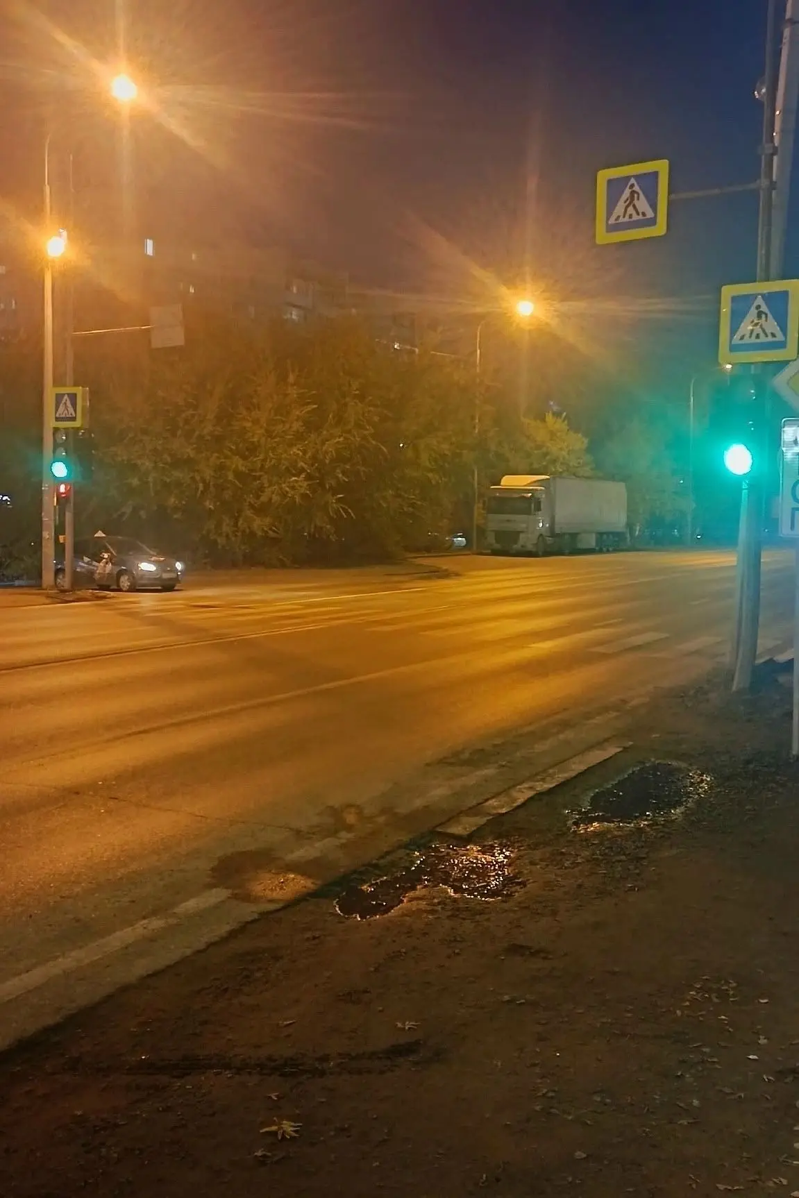Дружбы, 124а. Наконец то поставили светофор на пешеходнике.