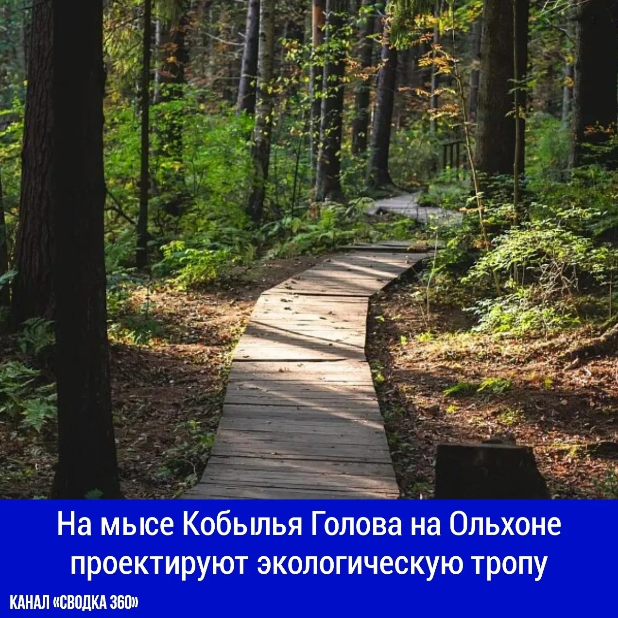 На мысе Кобылья Голова на Ольхоне проектируют экологическую тропу. Её маршрут проложат ...