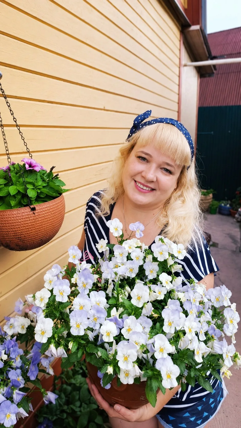 Мои Виолы весной и летом!!!!