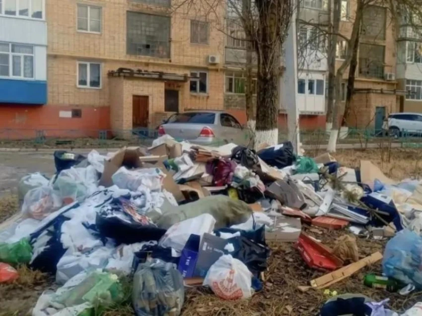 Горожане наторговали, намусорили и припарковались на два миллиона рублей: итоги муницип...