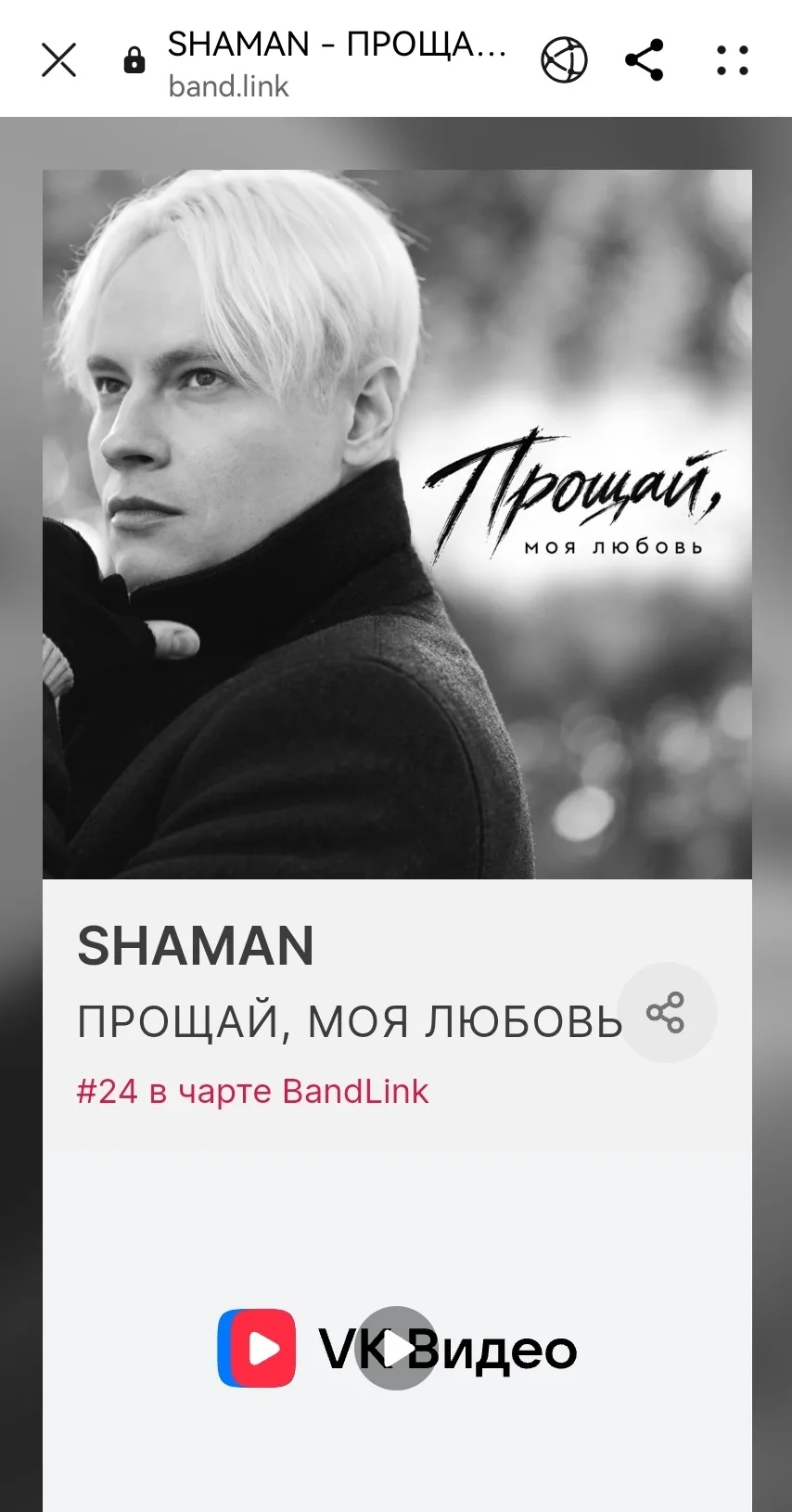 SHAMAN - ПРОЩАЙ,