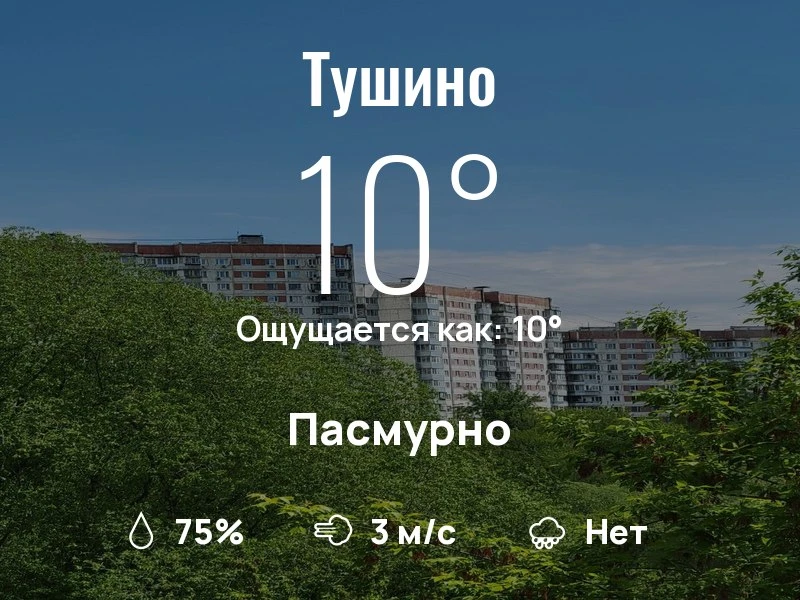 Что с погодой в Тушино?