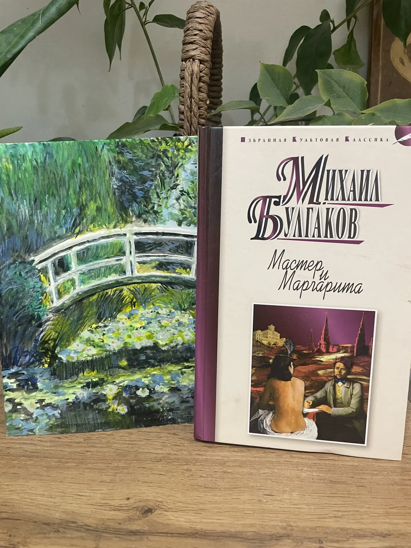 Я вдруг подумала, что моей любимой книги, которую я миллион раз перечитывала, нет в мое...