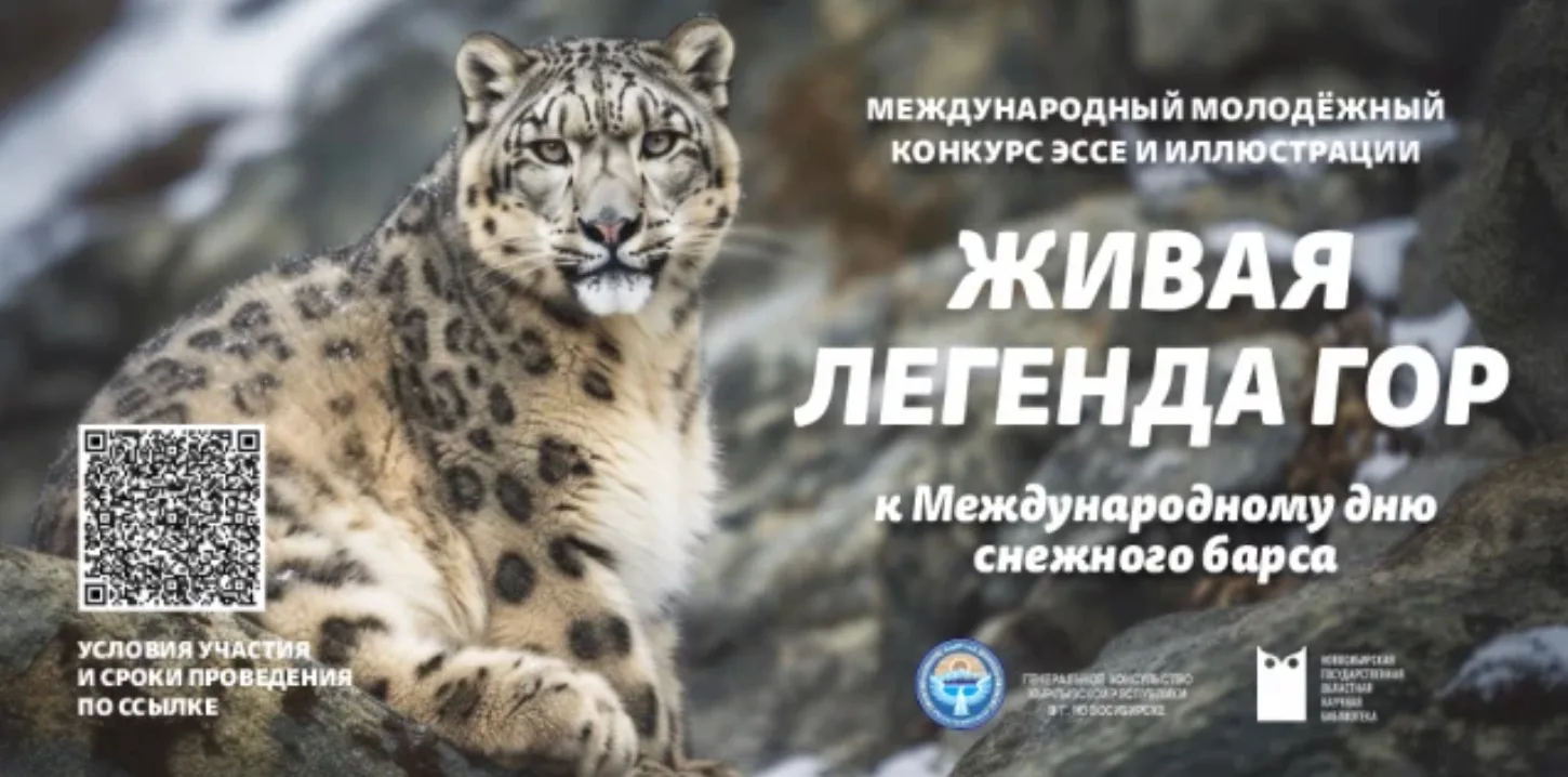 🐆 Среди заснеженных вершин Центральной Азии живет легенда — снежный барс (ирбис).