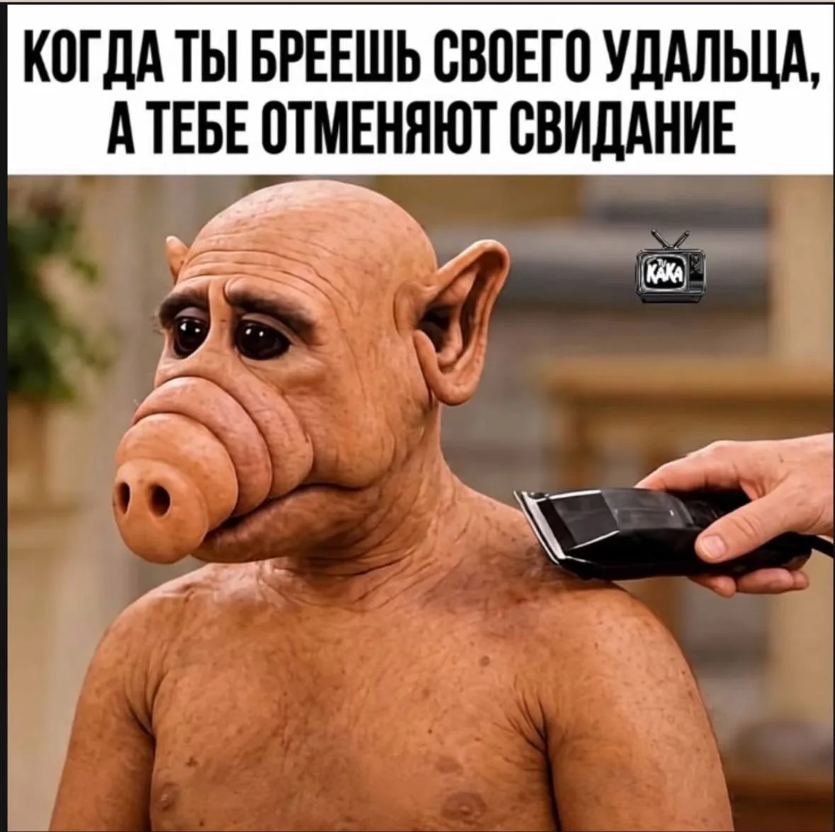 Подписаться
