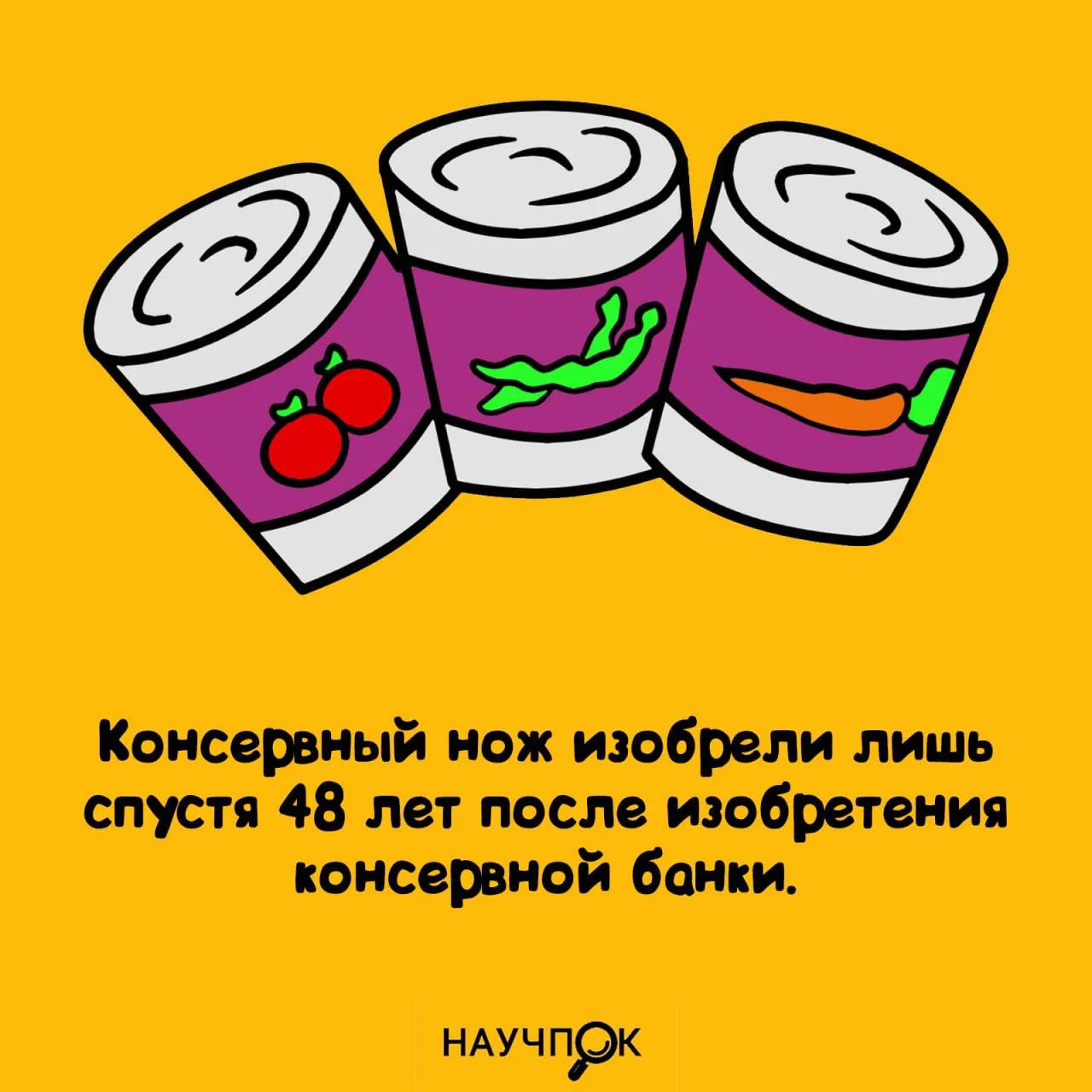 Консервы без инструкции (48 лет).