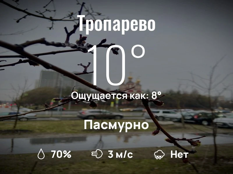 Что с погодой в Тропарево?