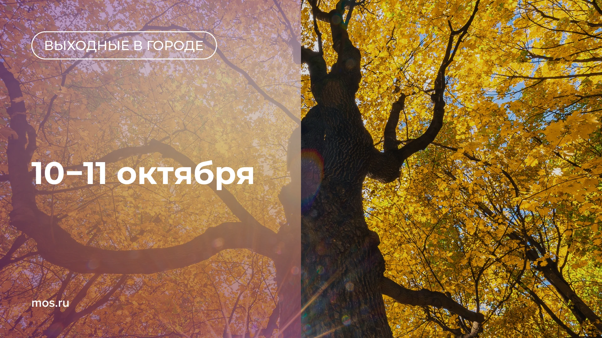 🥳 Чем заняться в эти выходные? Собрали интересные мероприятия в нашем дайджесте.