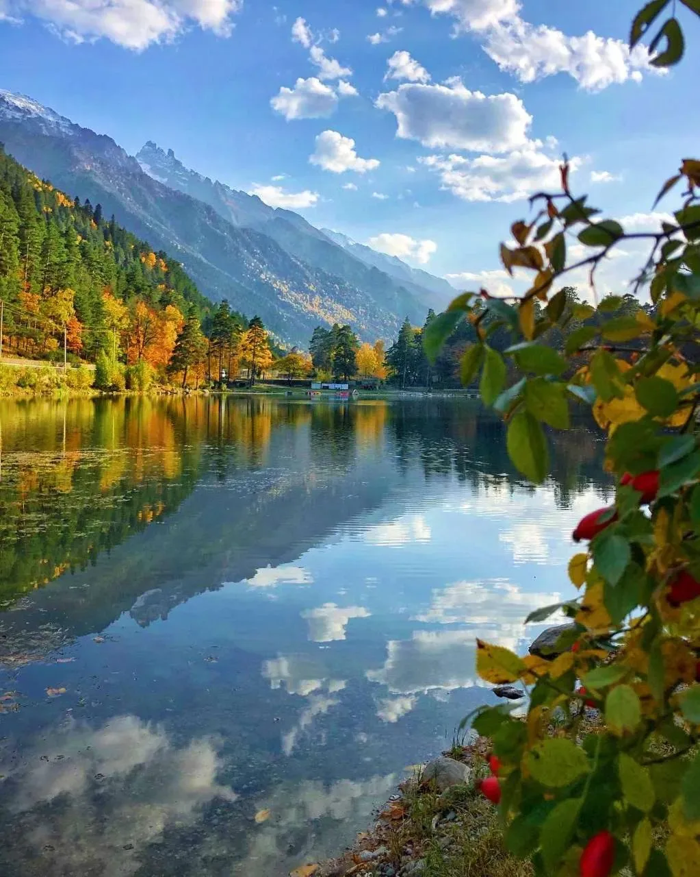 4 красивые фотографии для заставок на вашем телефоне ✨🍁📲