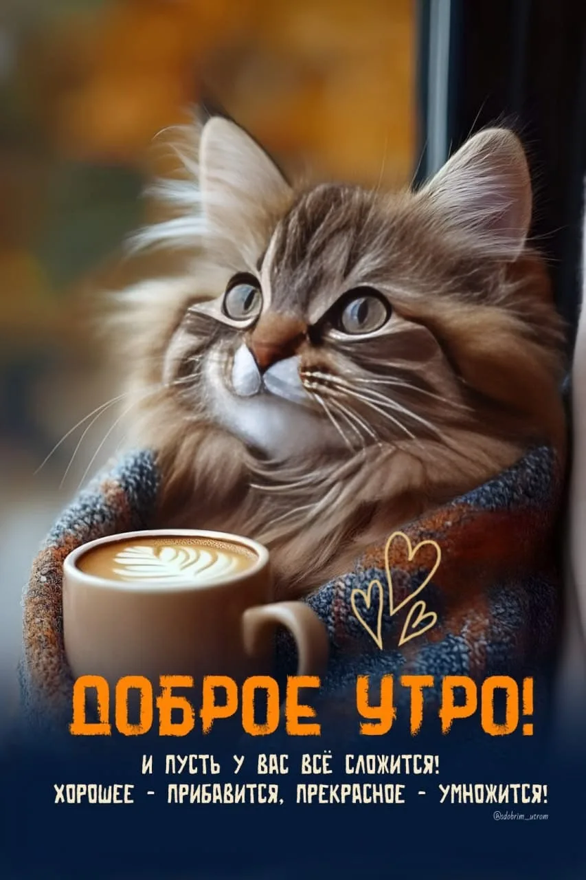 🥰Открытки и поздравления!