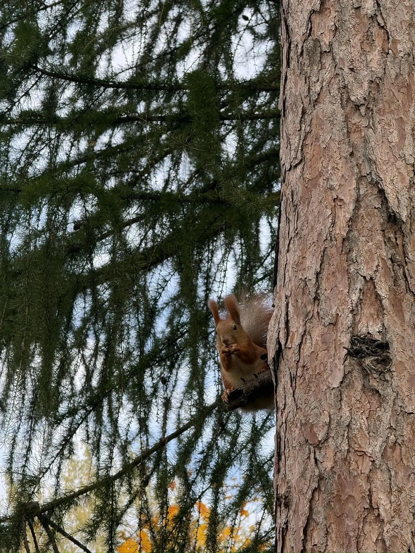 Большой парк😍