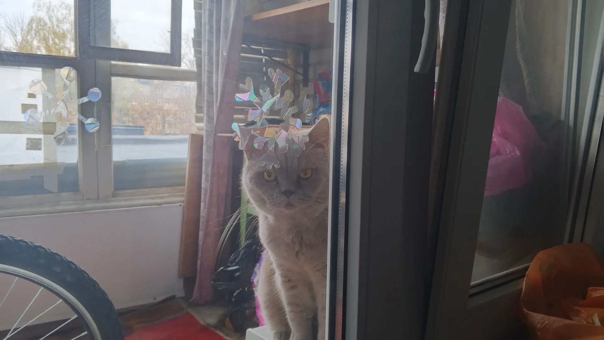 — Я всё осознала. Я больше так не буду.