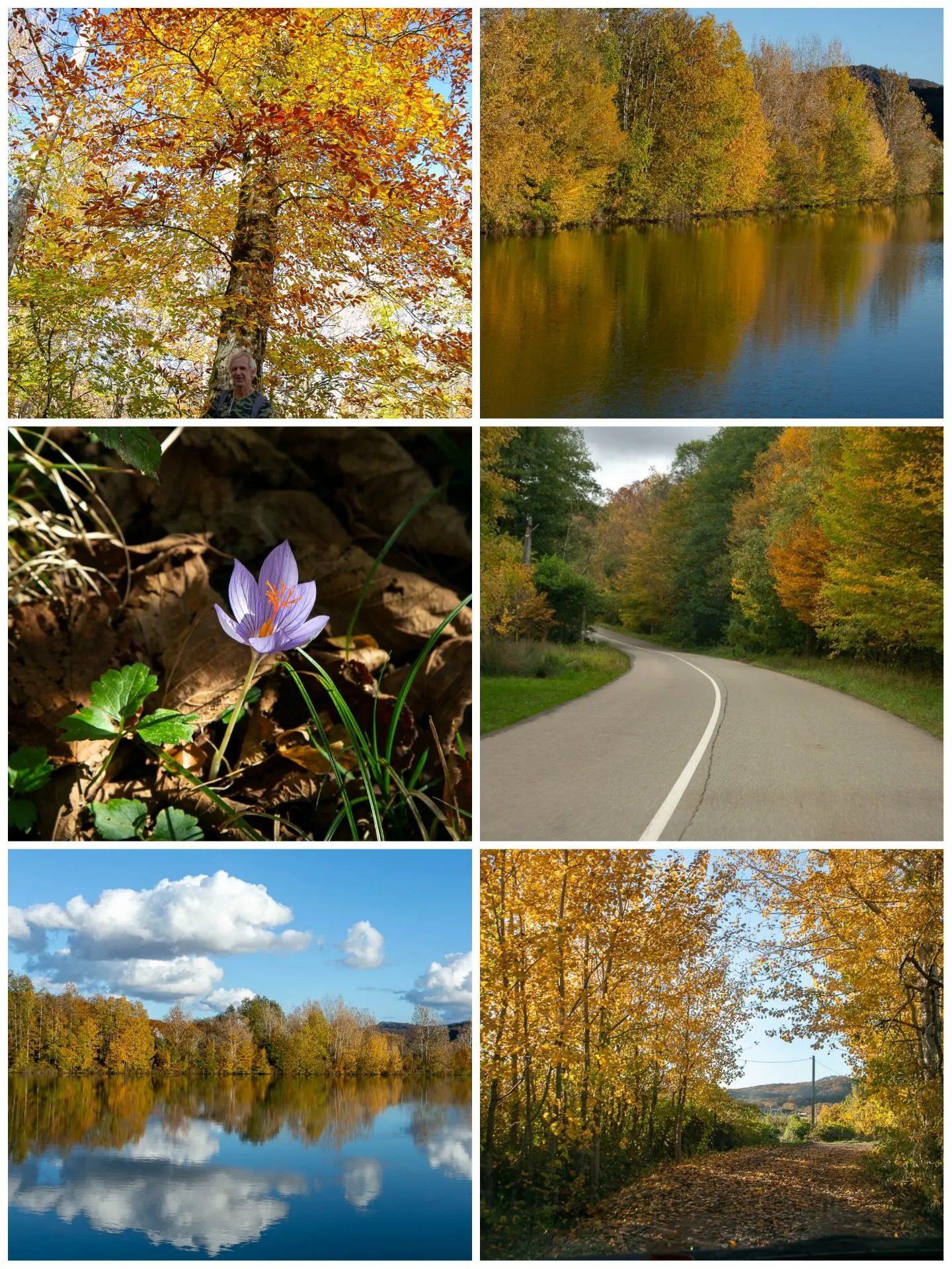 🍁 «Осень — это вторая весна, когда каждый лист — цветок».