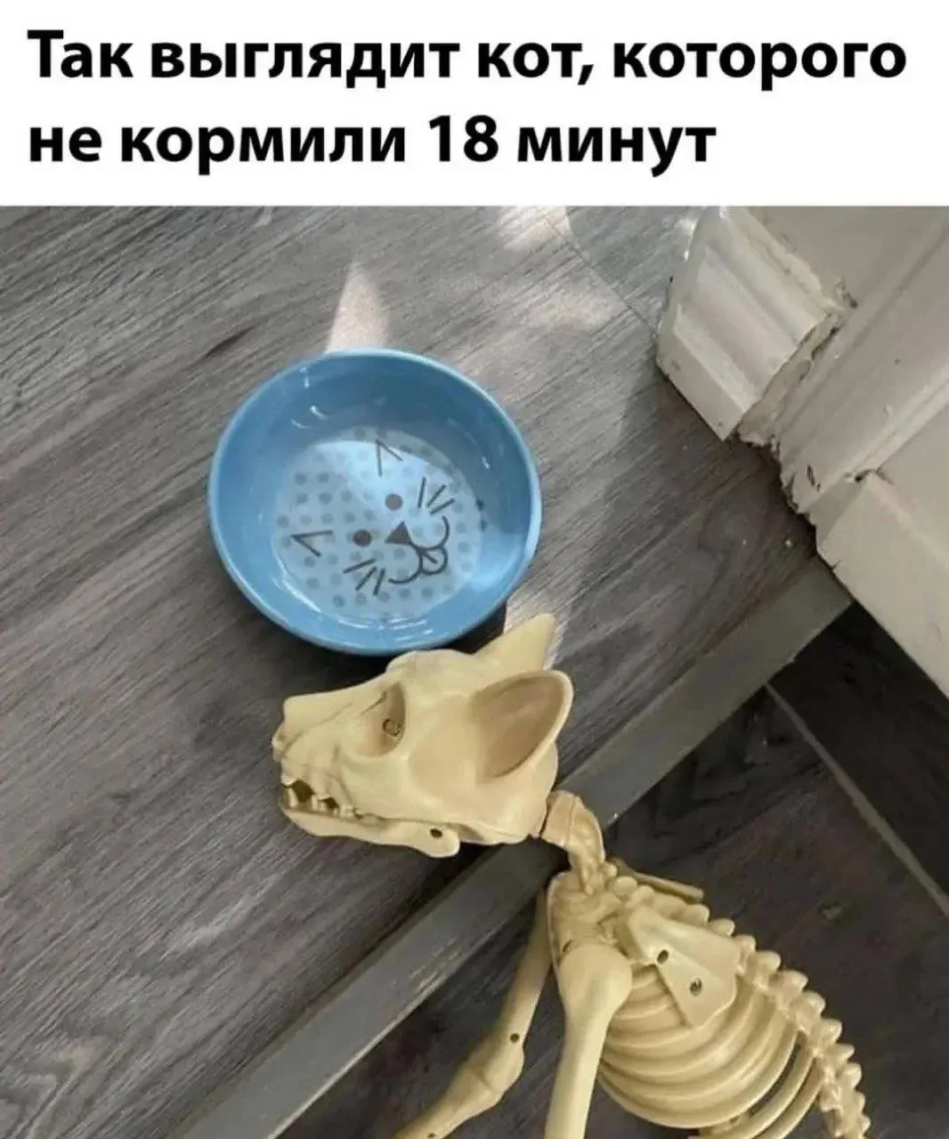 🤣Юмор в картинках