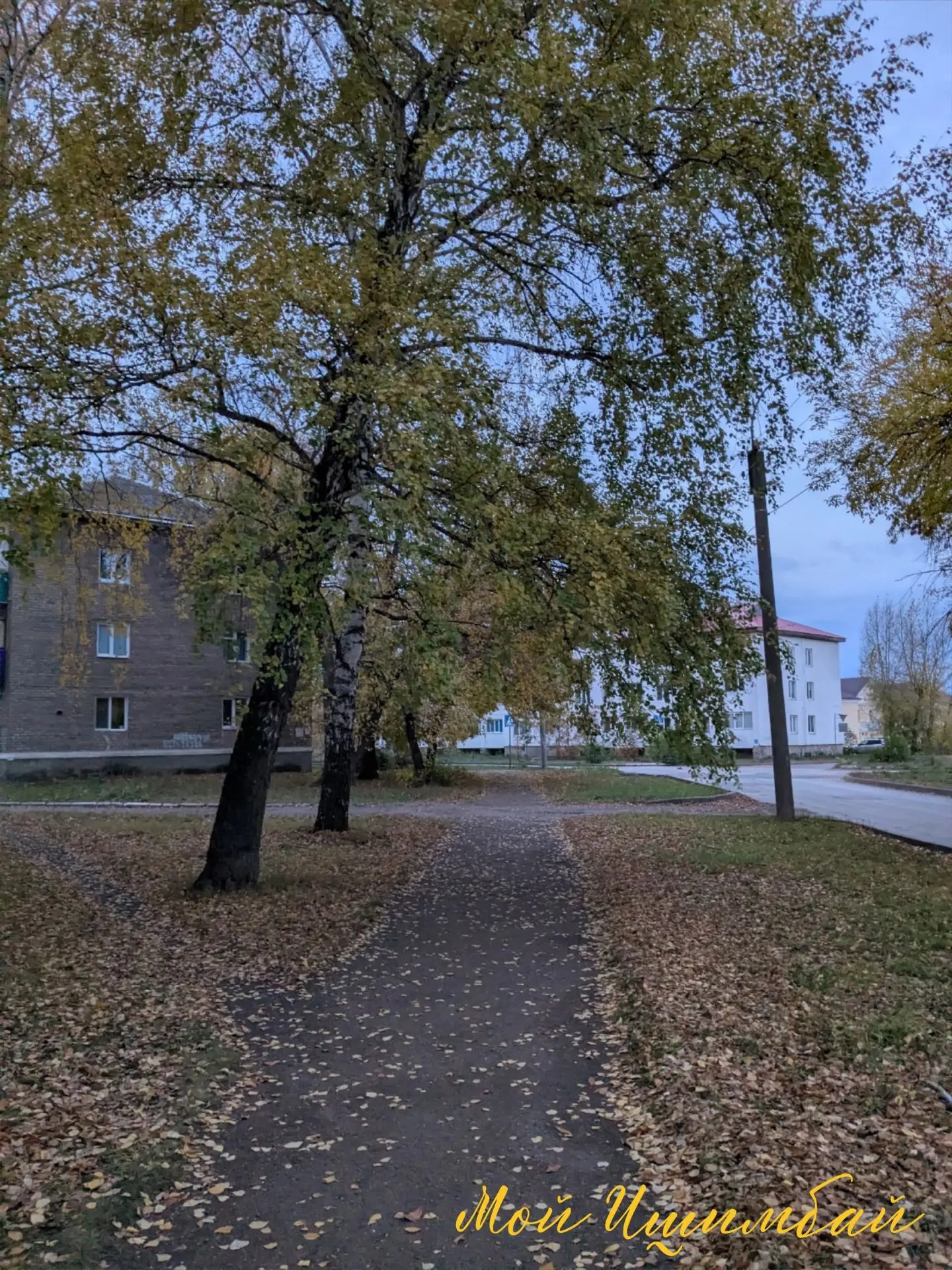 С добрым утром, ишимбайцы! 🍂