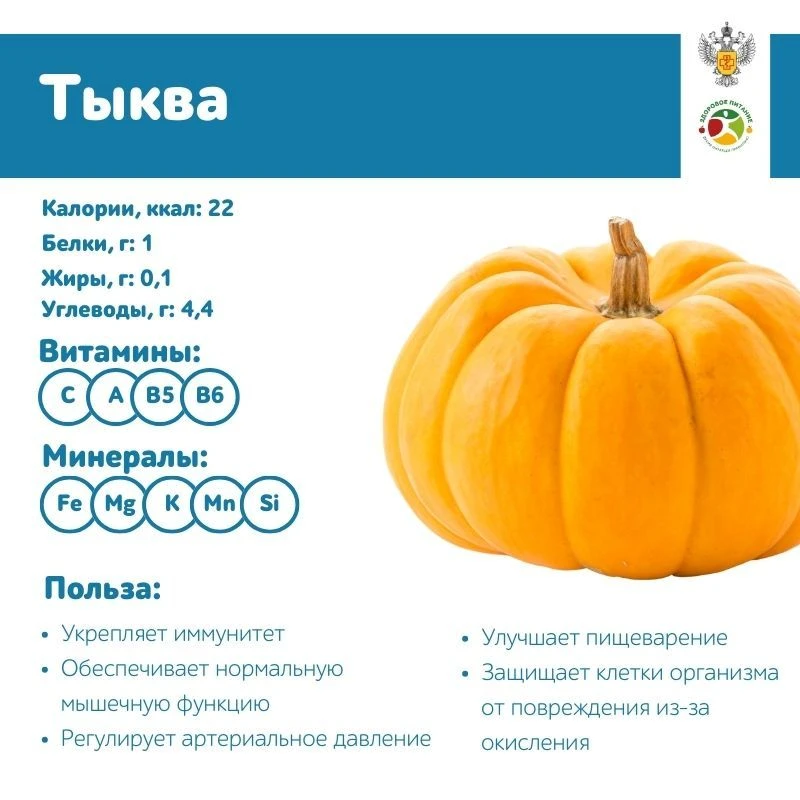 Тыква: яркая и вкусная 🎃🎃🎃