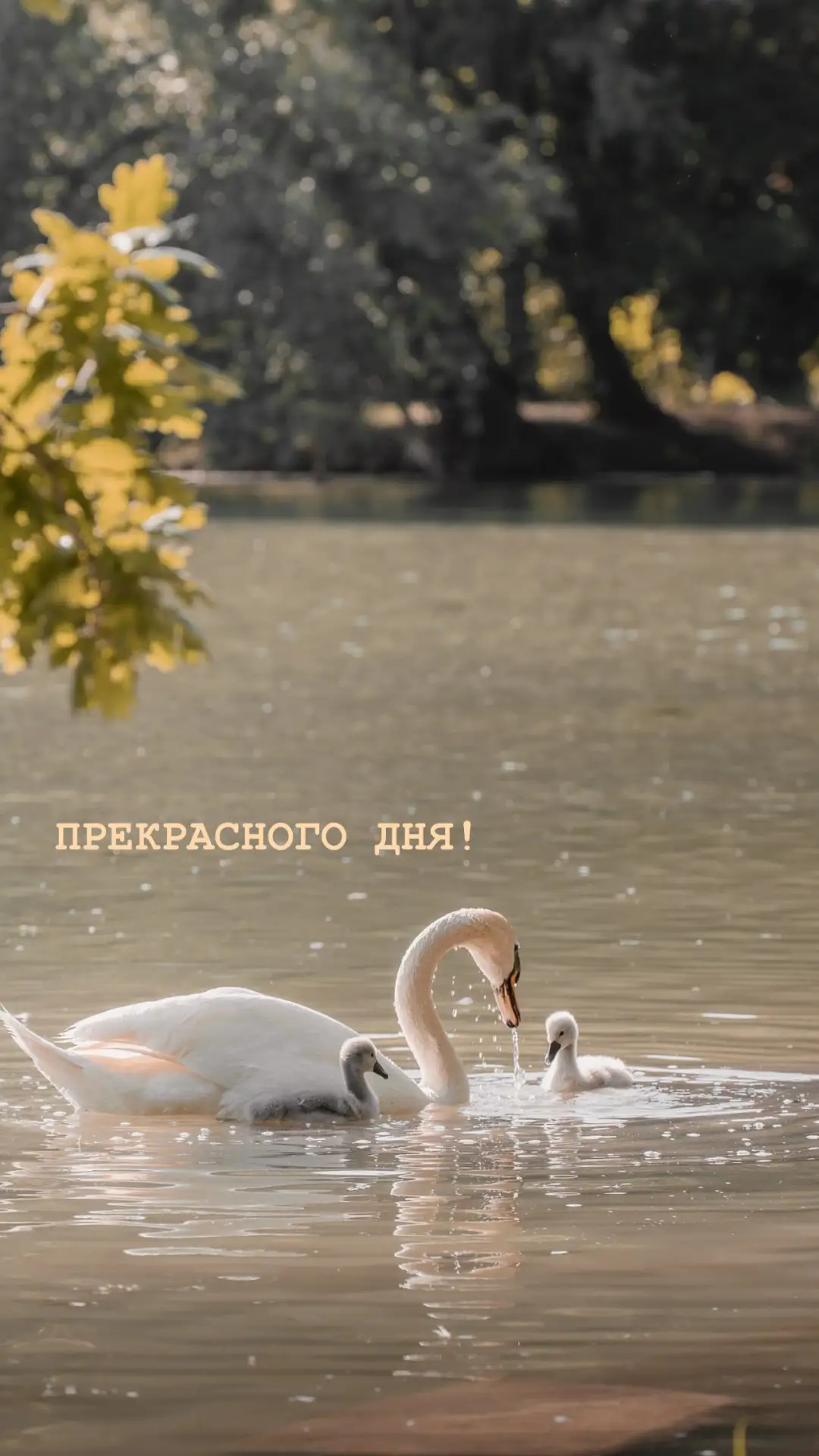 ☀️Оставляйте реакции, если понравилась и делитесь с друзьями ❤️