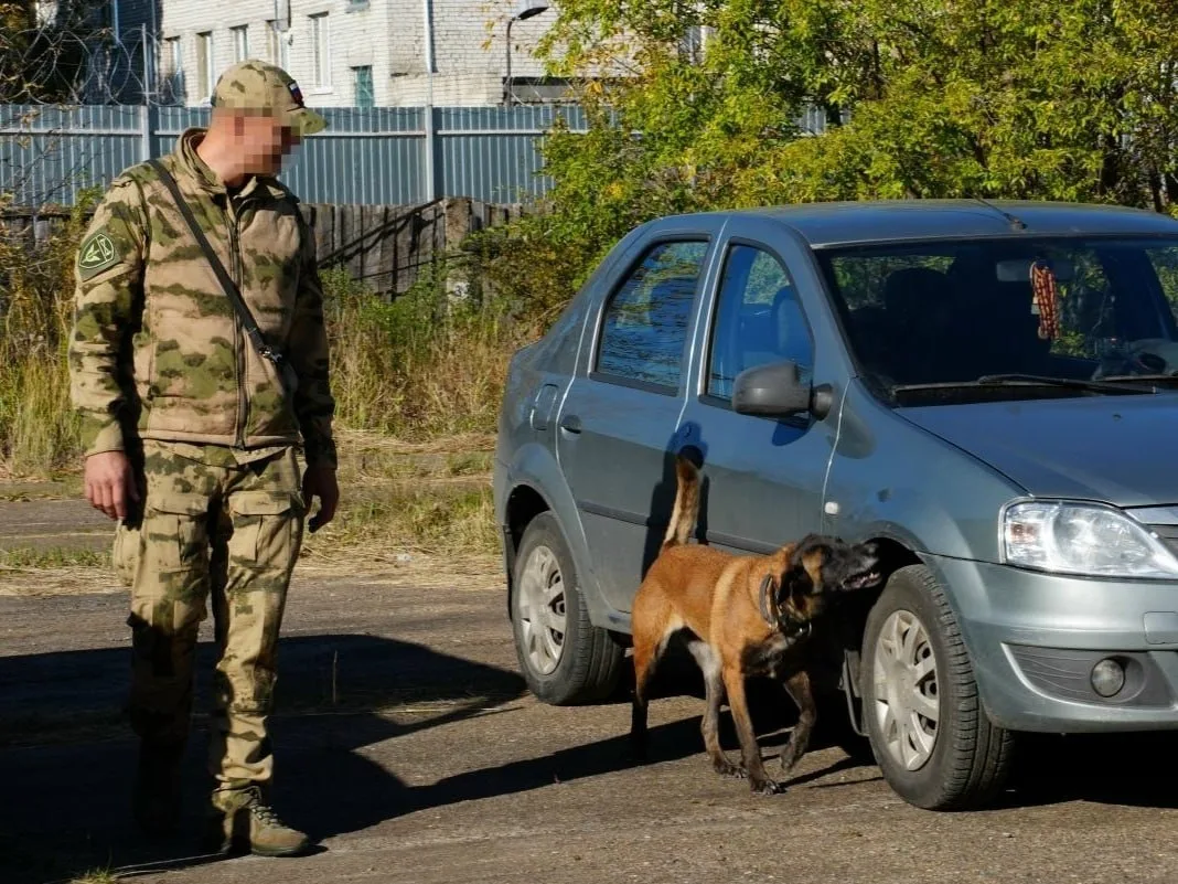 🦮 Кинолог ОМОН «Симбир» и его служебная собака Кира стали лучшими в дисциплине «Поиск ...