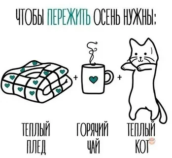 🥶 В Пермский край с 20 по 25 октября придёт похолодание: в ночные часы столбики термом...