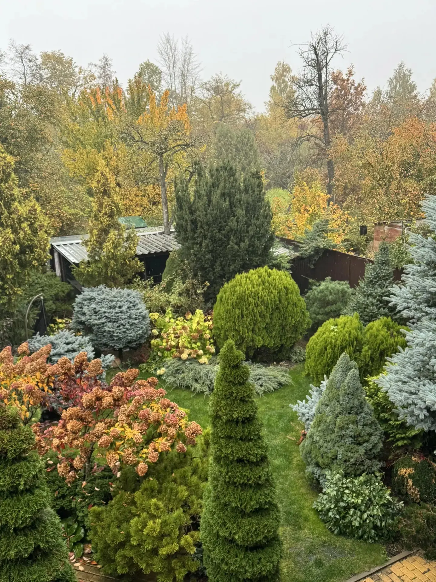 У нас дождь и … сирены