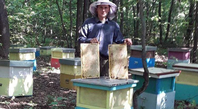 🍯 Липовый и разнотравье. Как, по мнению чернянского пчеловода, распознать качественный...
