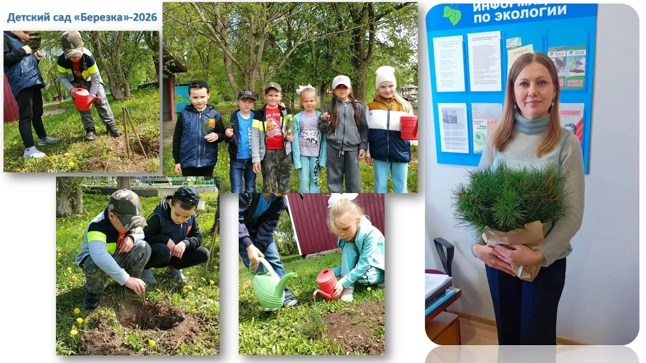 🌿Лесные волонтеры