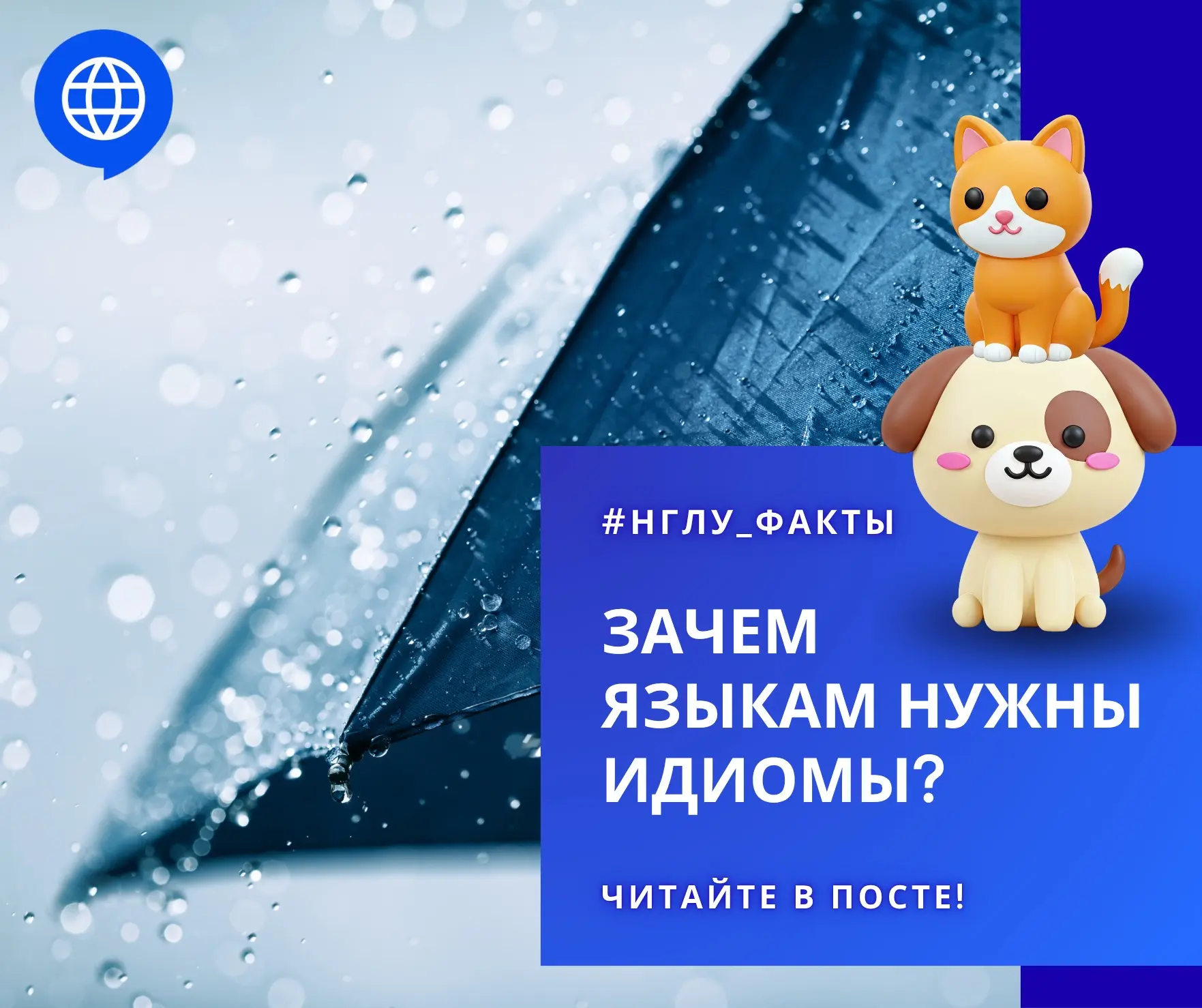 💬 Зачем языкам нужны идиомы? | #НГЛУ_ФАКТЫ