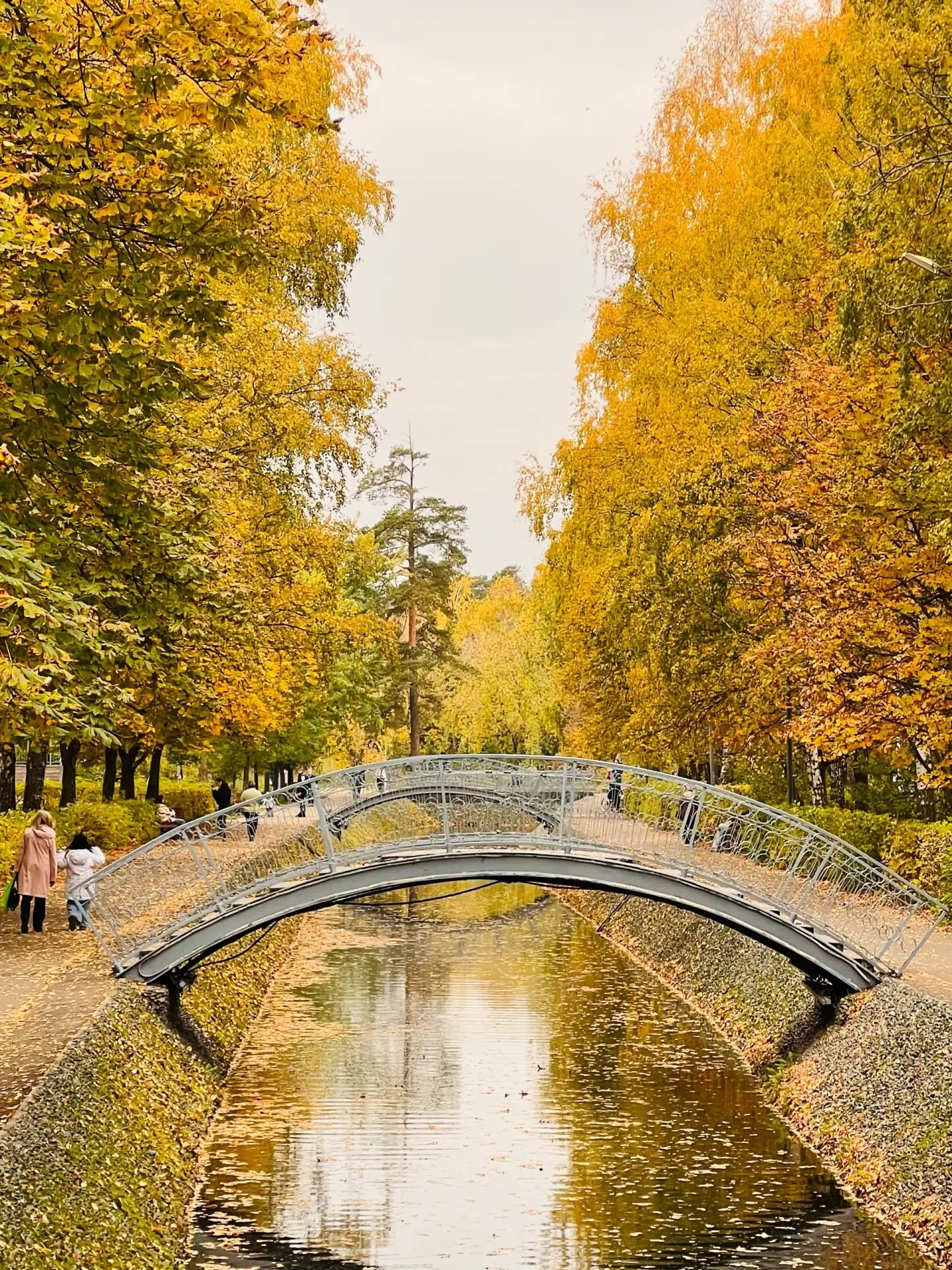 Парк Урицкого засиял осенними красками 🍂 Самое время прогуляться по знакомым дорожкам ...