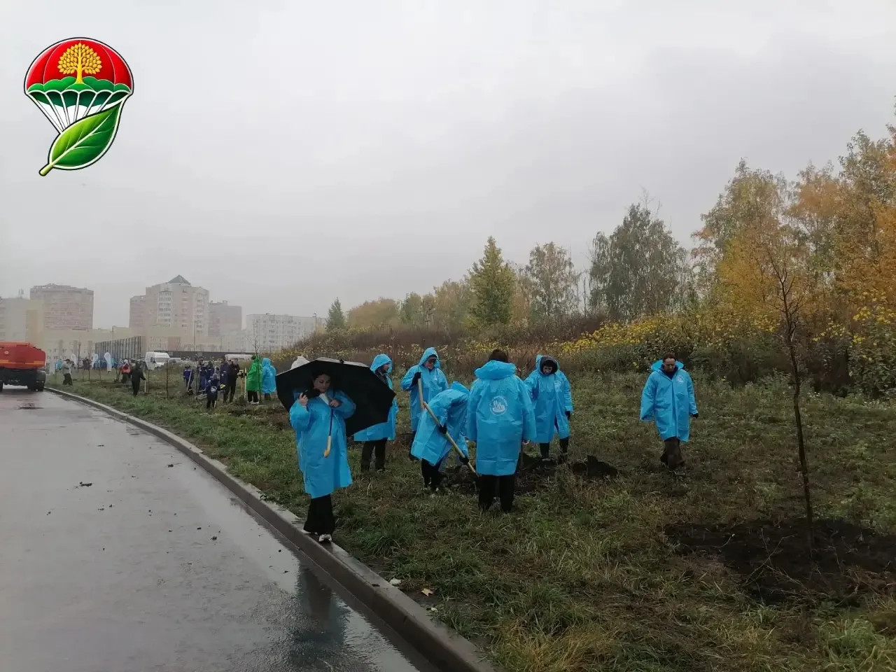 Экодесант в действии