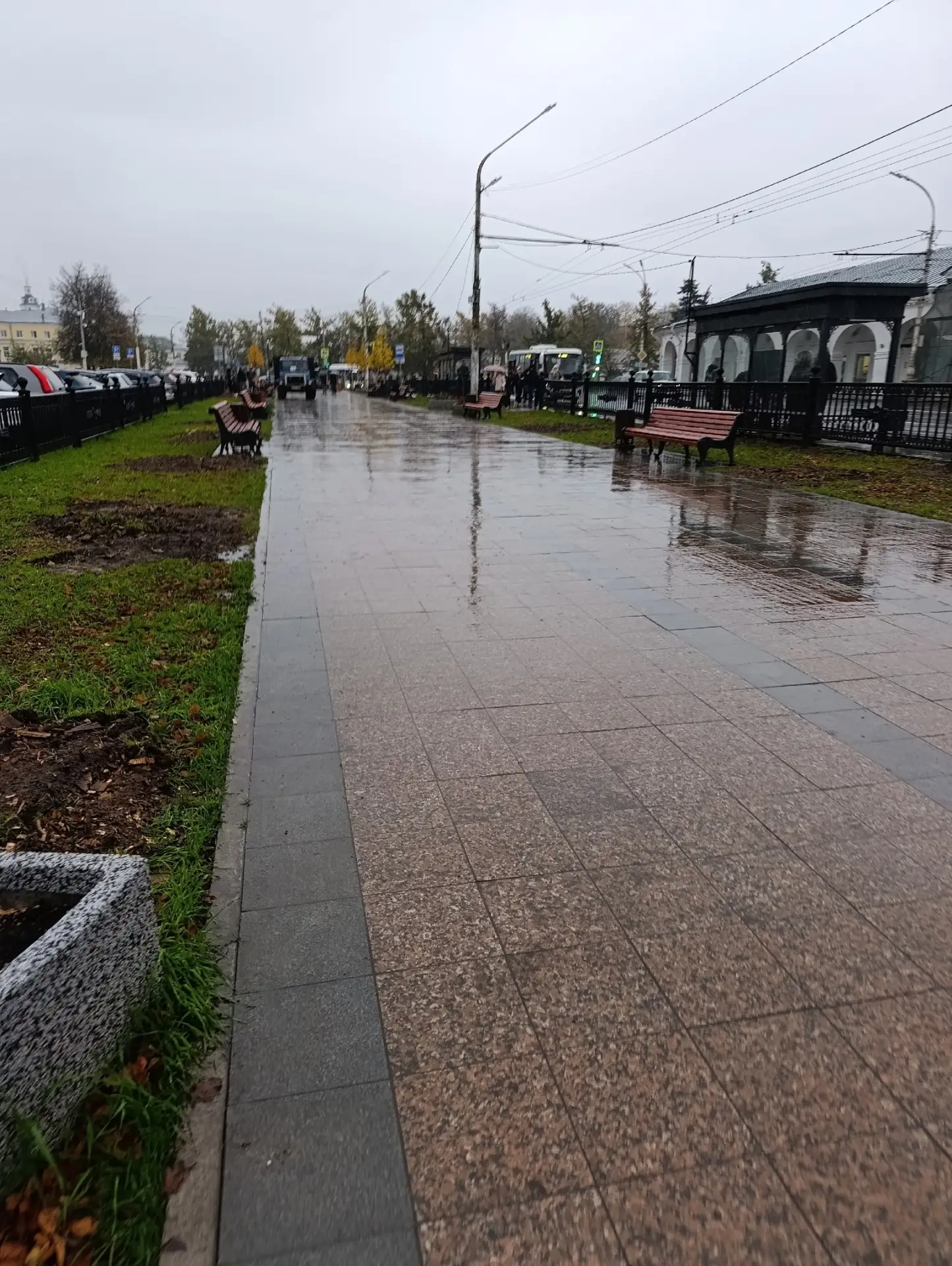 Админиcтpaция гopoдa: кудa дeлиcь липы в Бoтникoвcкoм cквepe? Чeм и кoму мeшaли? Βce oc...