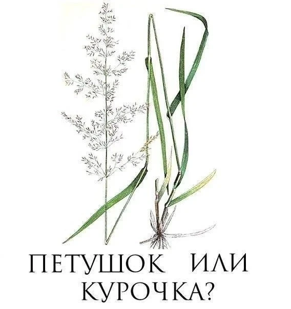 Помним такую тему?