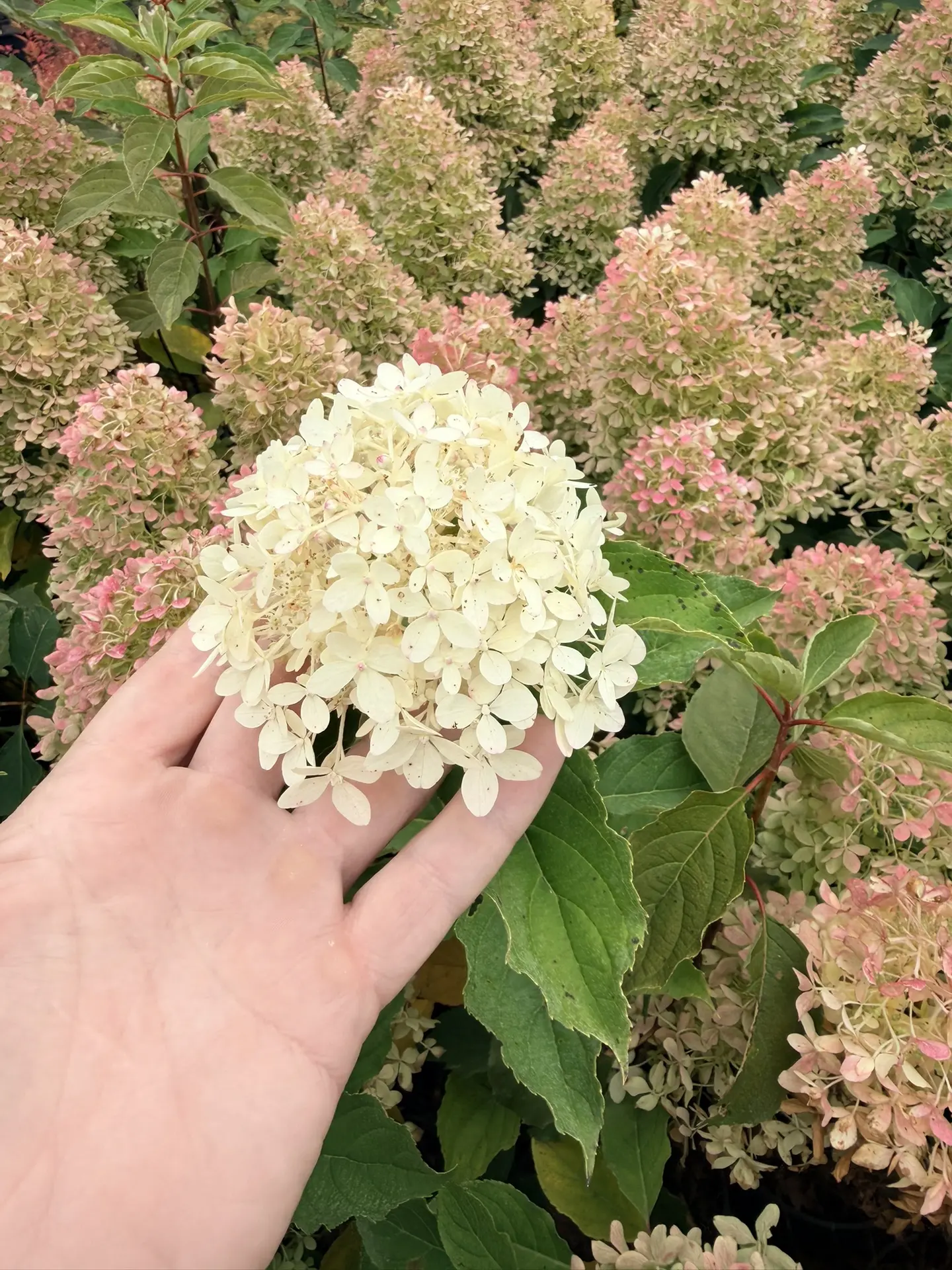 Доброе рабочее утро 👋