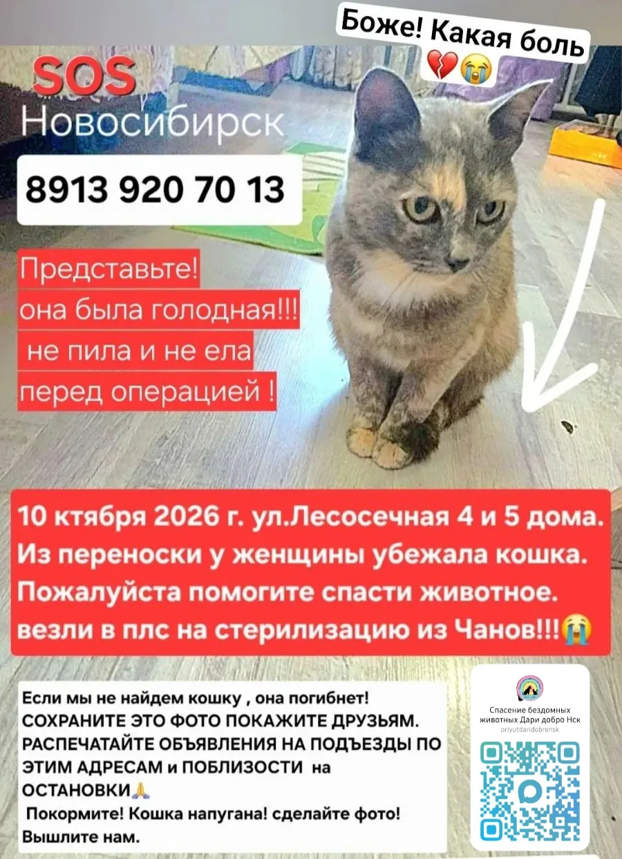 Внимание! Нижняя ельцовка. Ул.Лесосечная дома 4,5,6 и ближайшие.