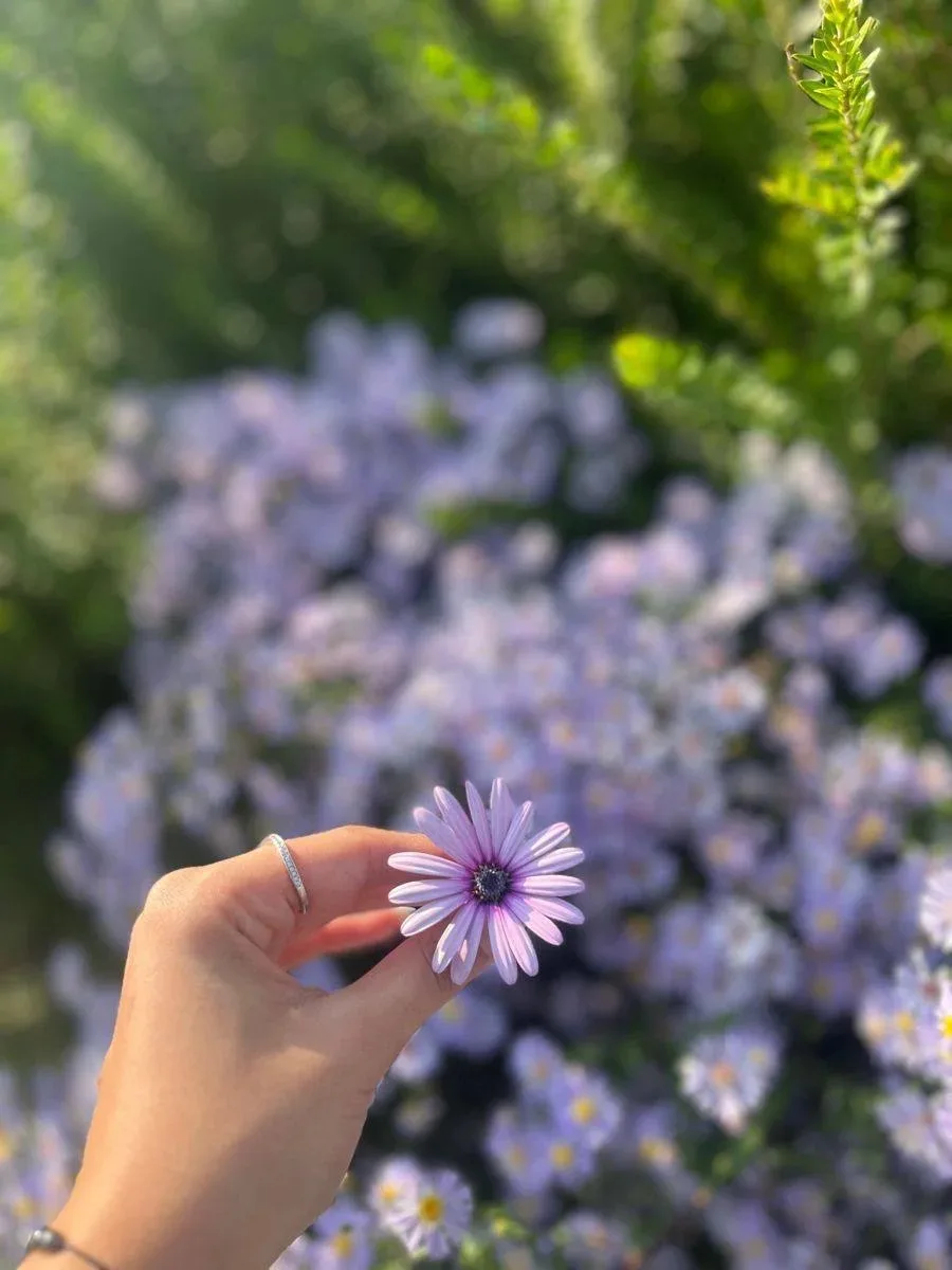 Напоминание 🥰