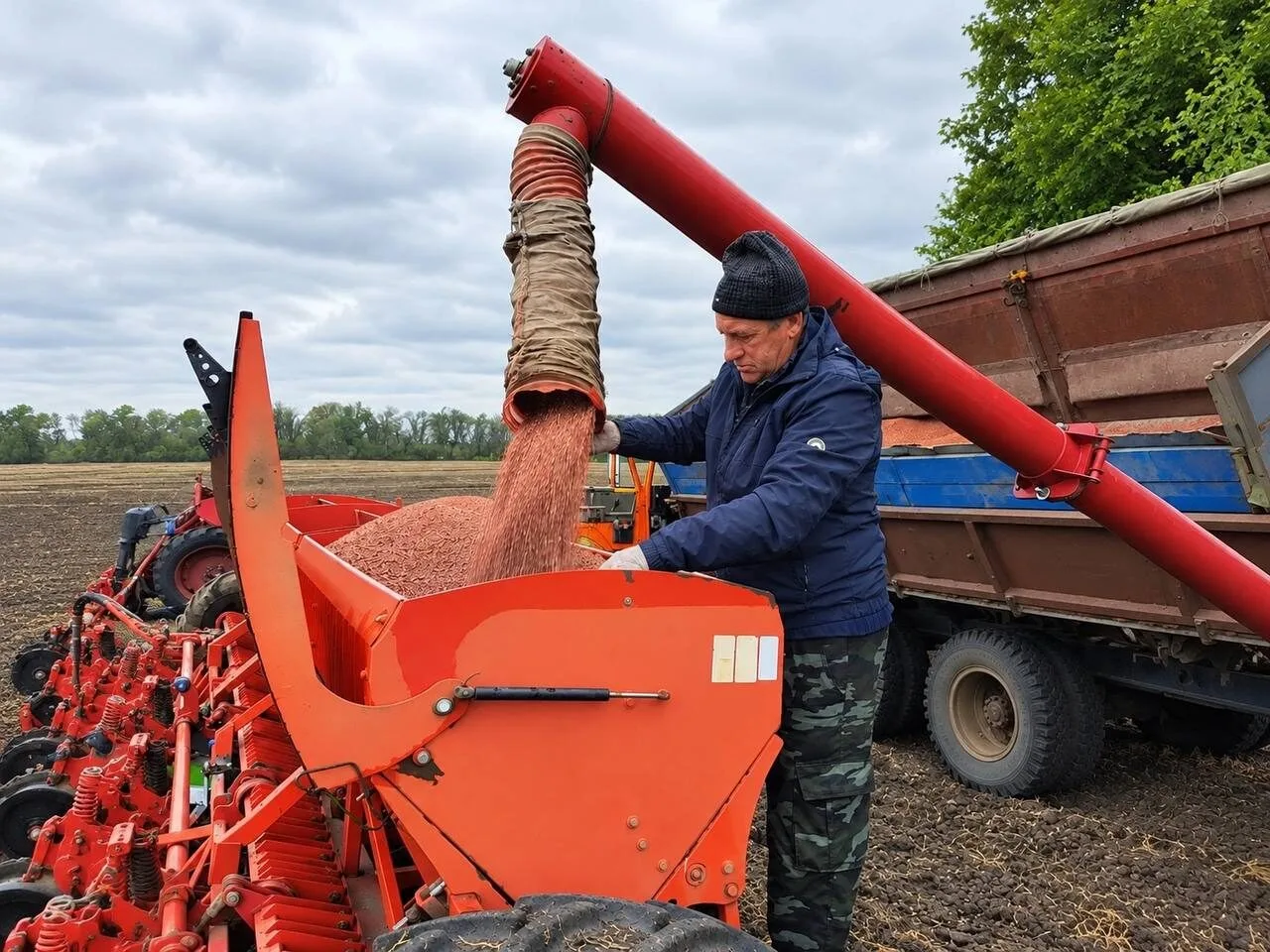 💠 Курский филиал РосАгрохимслужбы заложил полевой опыт по оценке эффективности ЖКУ