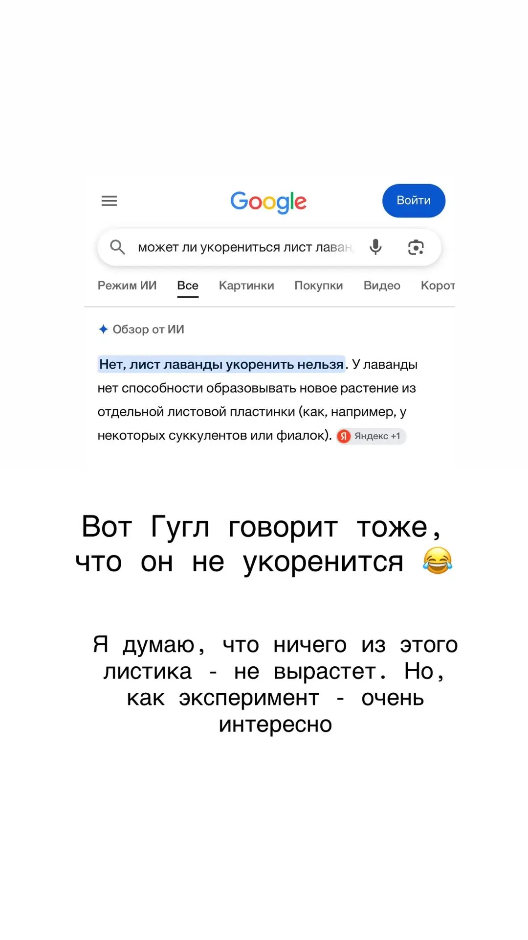 Видео