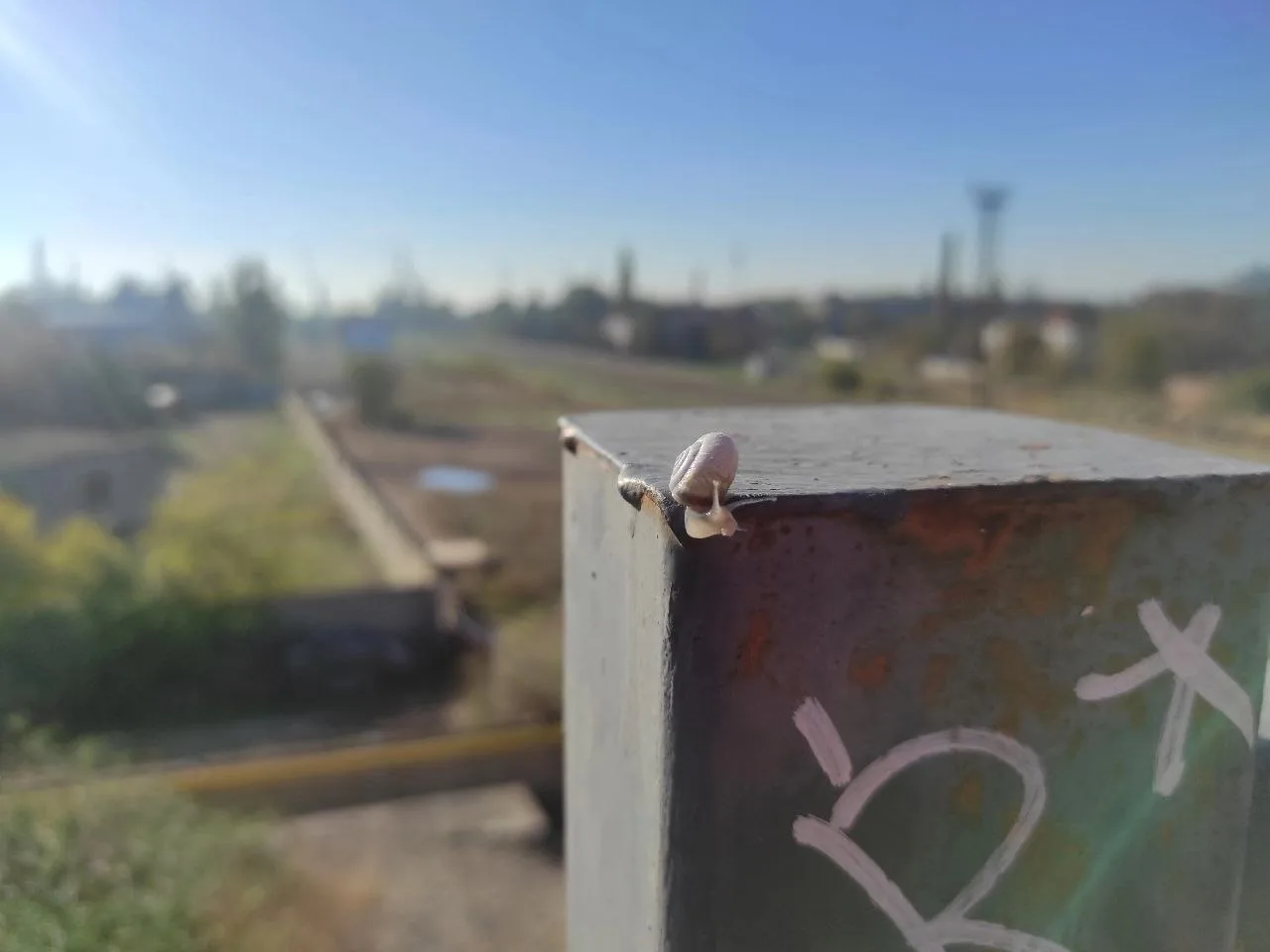 ☀ В последнее время я беру от жизни всё, что по акции.