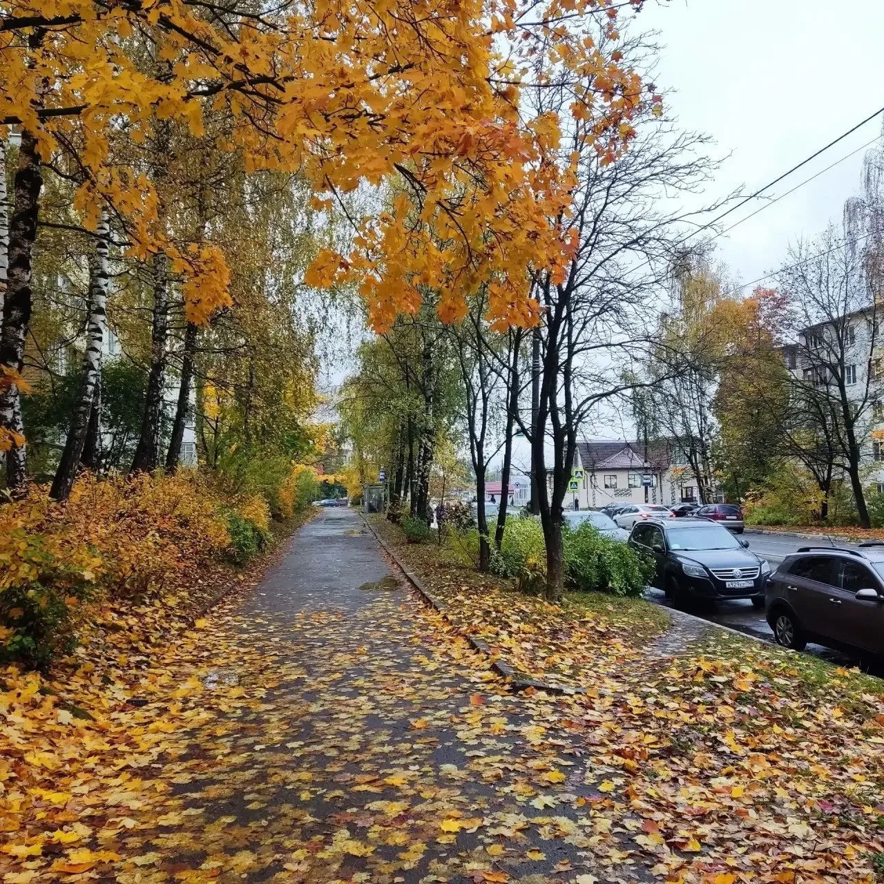 Все запаслись пледом и какао?