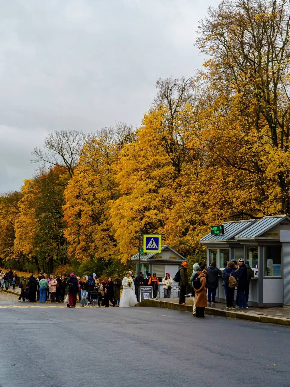 Золотая осень в Царском селе 🍃